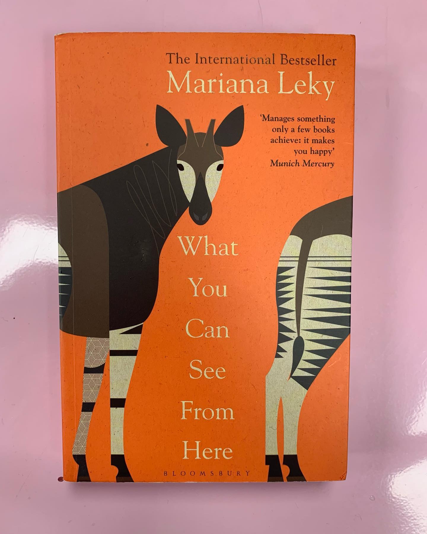 What You Can See From Here cover