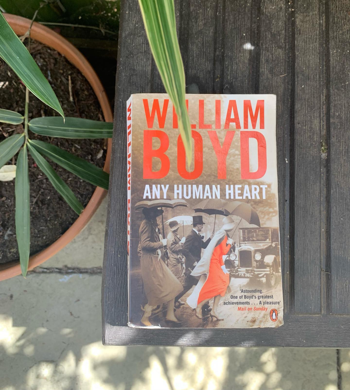 Any Human Heart cover