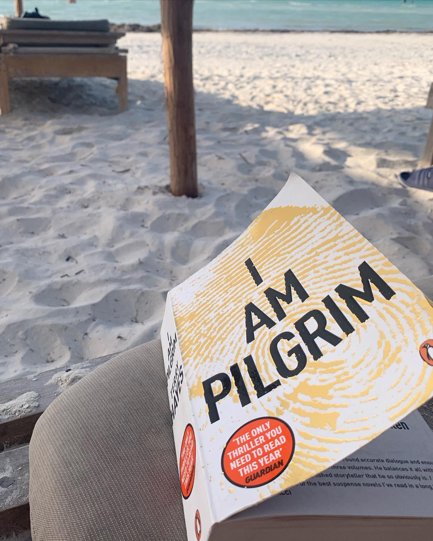I am Pilgrim cover