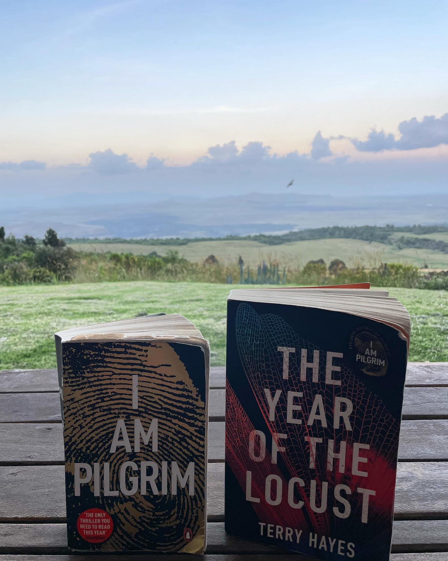 The Year of the Locust cover