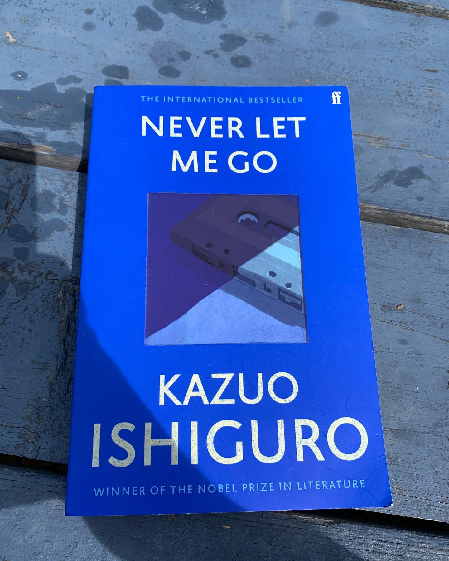 Never Let Me Go cover